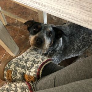 Meet your Posher, Becca